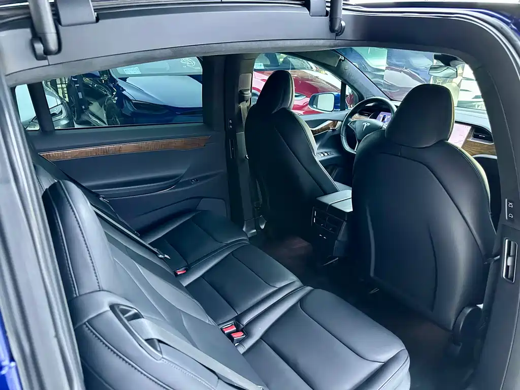 Tesla Model X — миниатюра 11