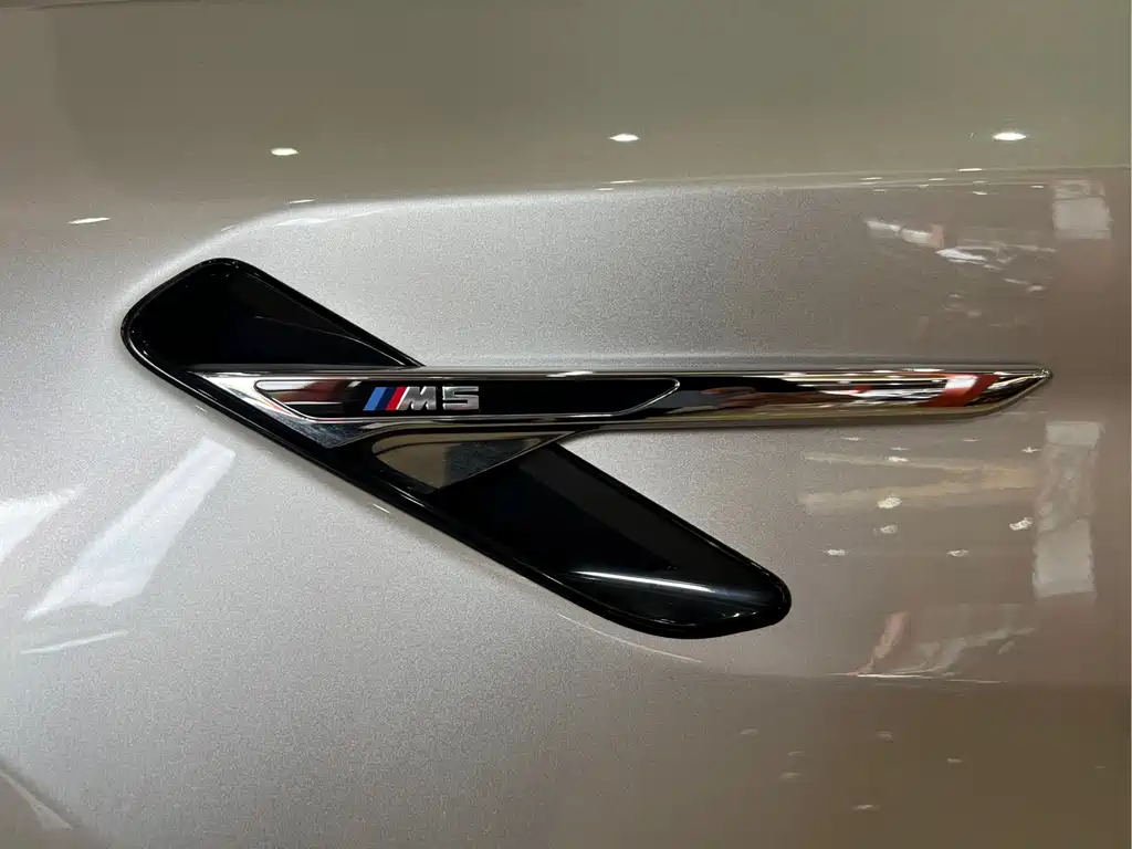 BMW M5 — миниатюра 25