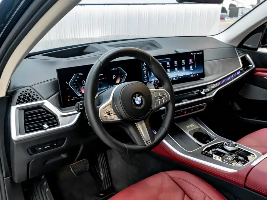 BMW X5 — миниатюра 25