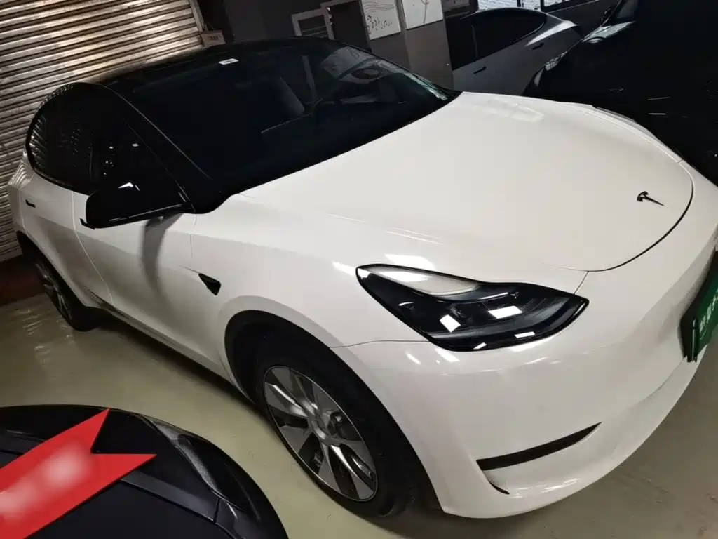 Tesla Model Y — миниатюра 4