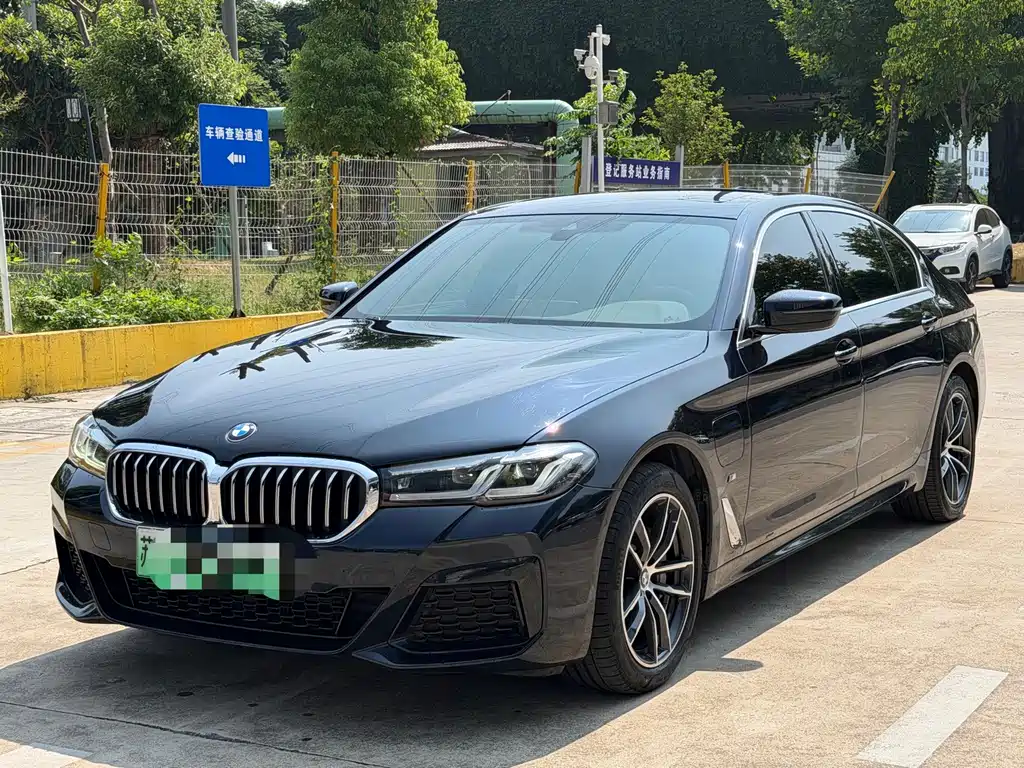 BMW 5 Series New Energy
