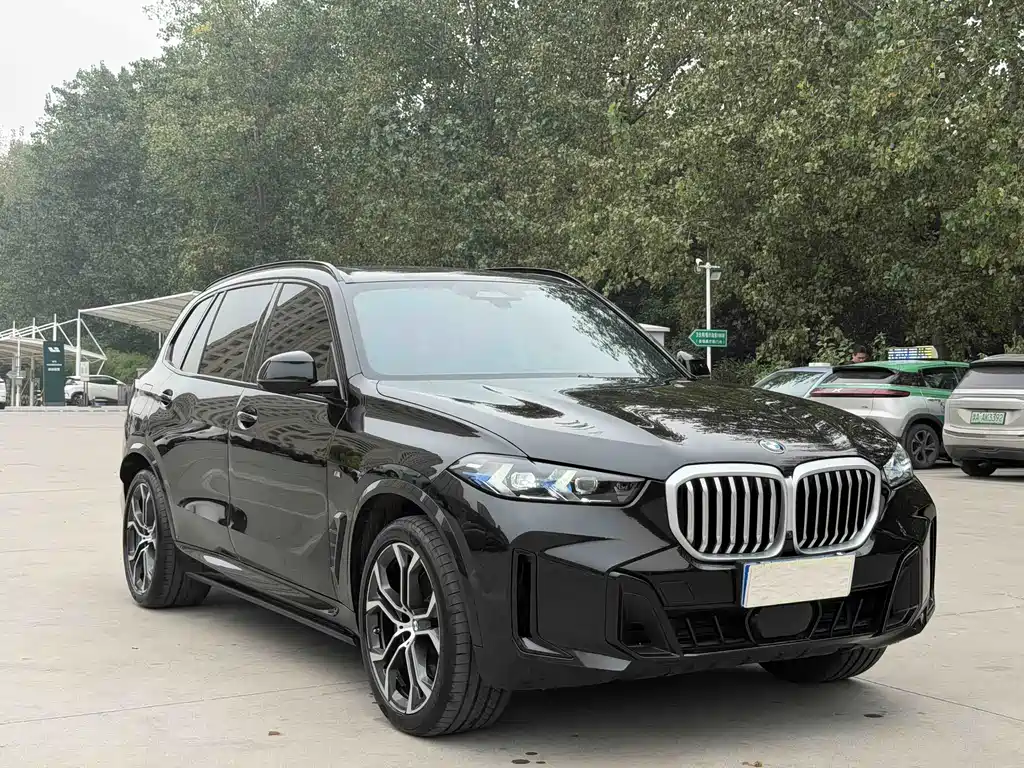 BMW X5 — миниатюра 3