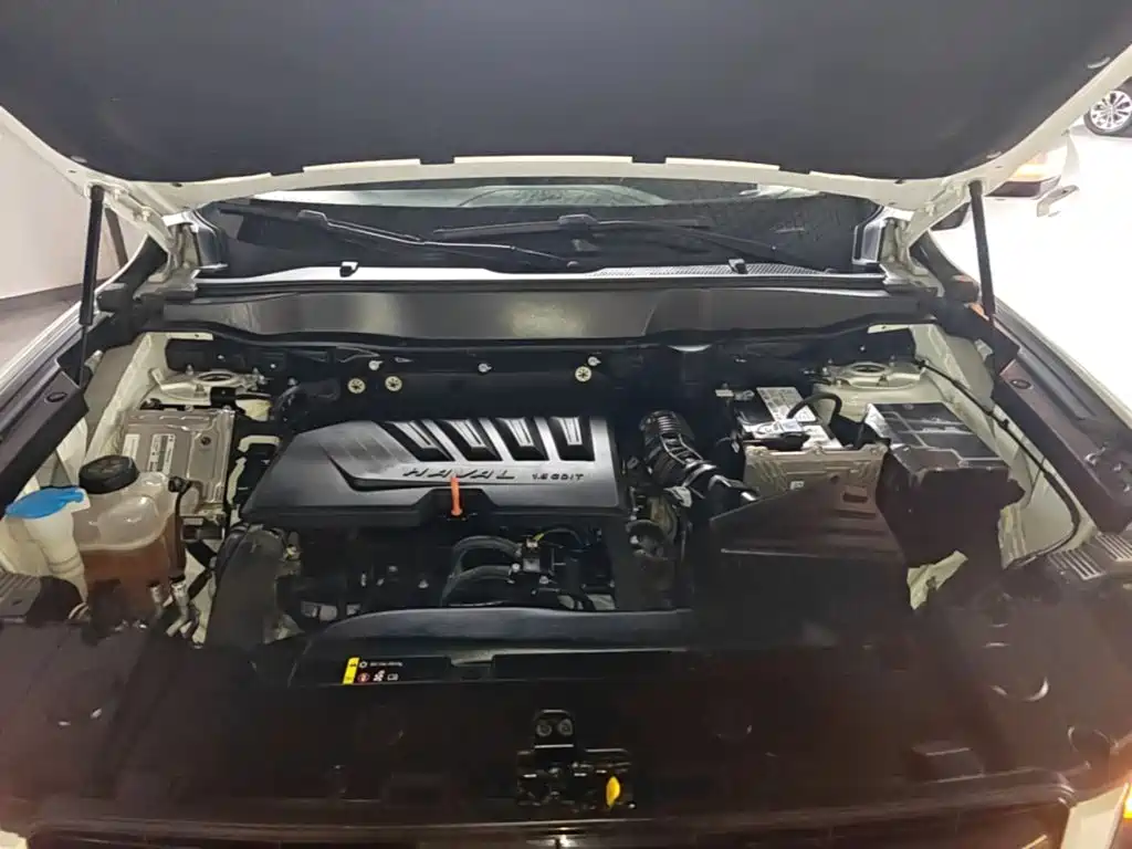 Haval Big Dog — миниатюра 20