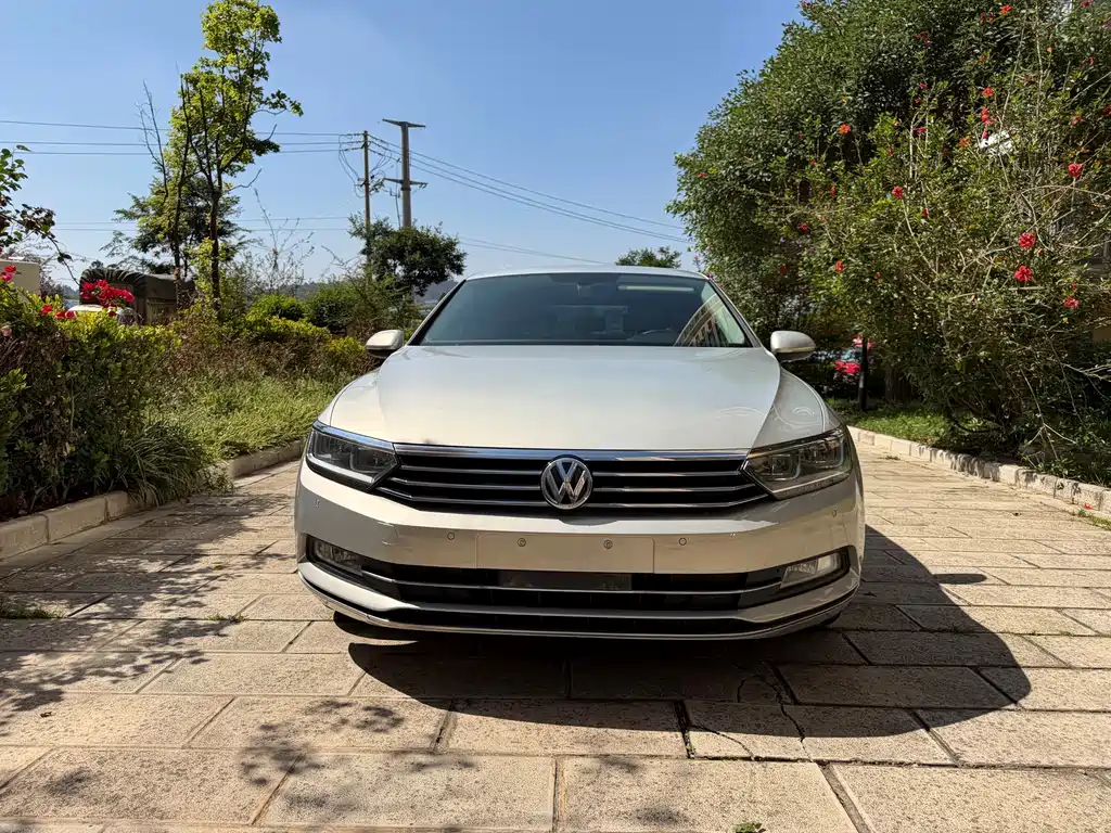 Volkswagen Magotan — миниатюра 2