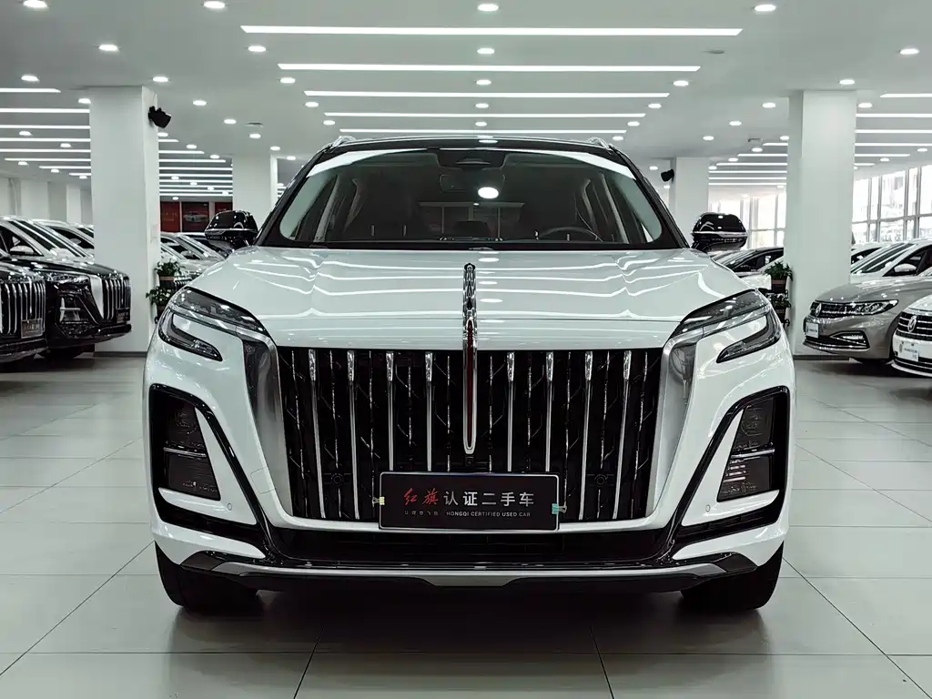 Hongqi Hongqi HS3 — миниатюра 2
