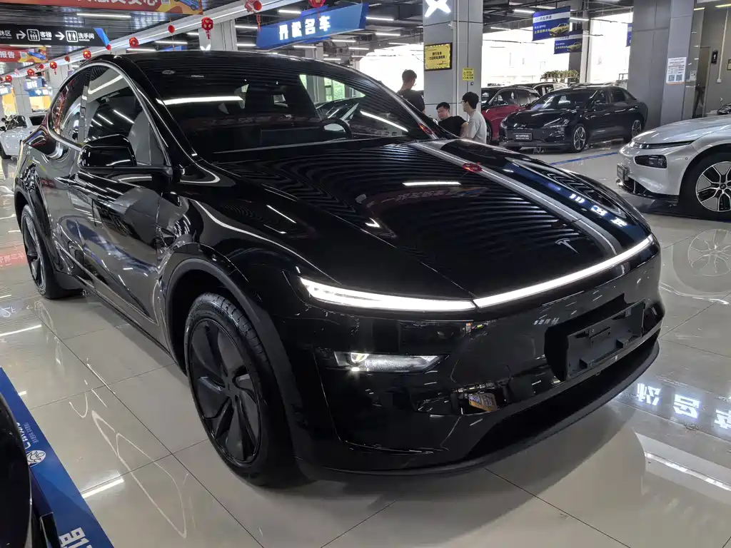 Tesla Model Y — миниатюра 3