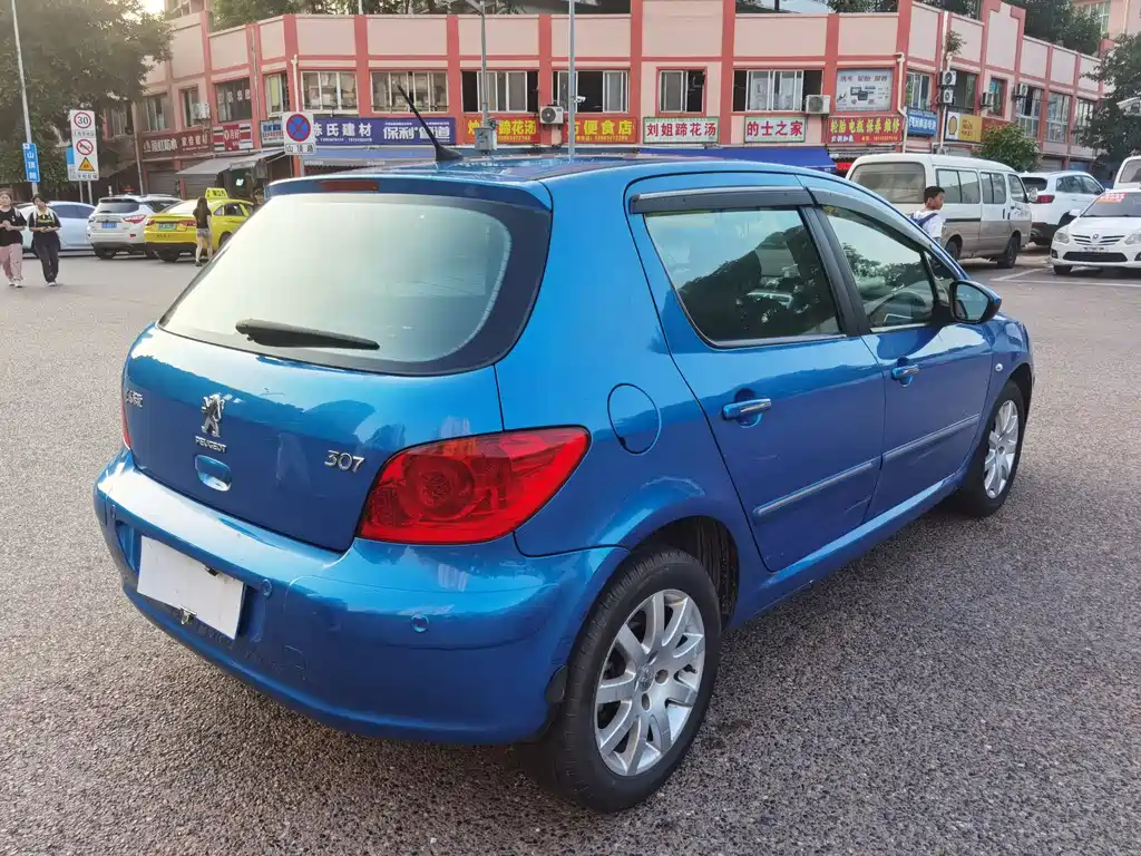 Peugeot 307 — миниатюра 6