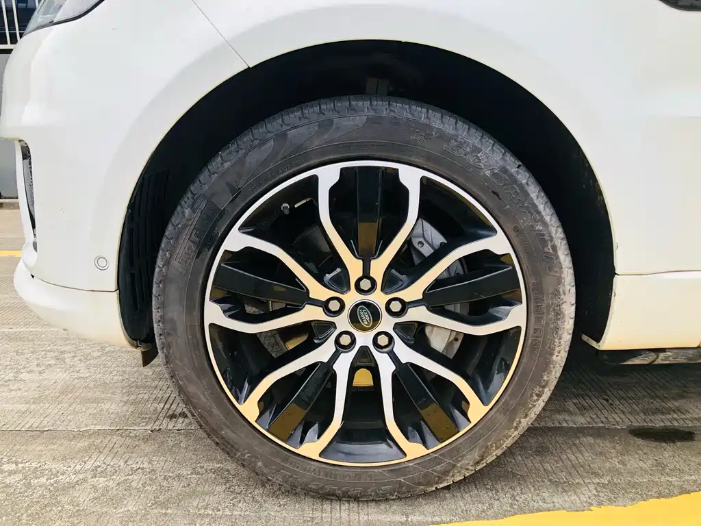 Land Rover Sport — миниатюра 19
