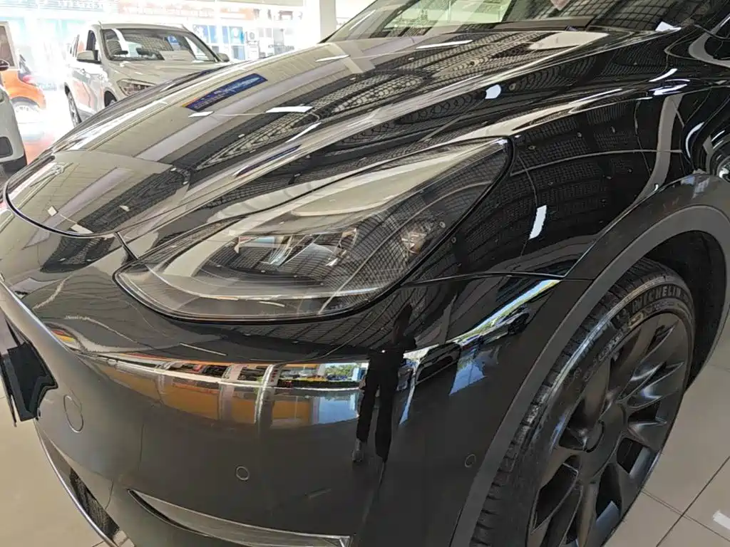 Tesla Model Y — миниатюра 24