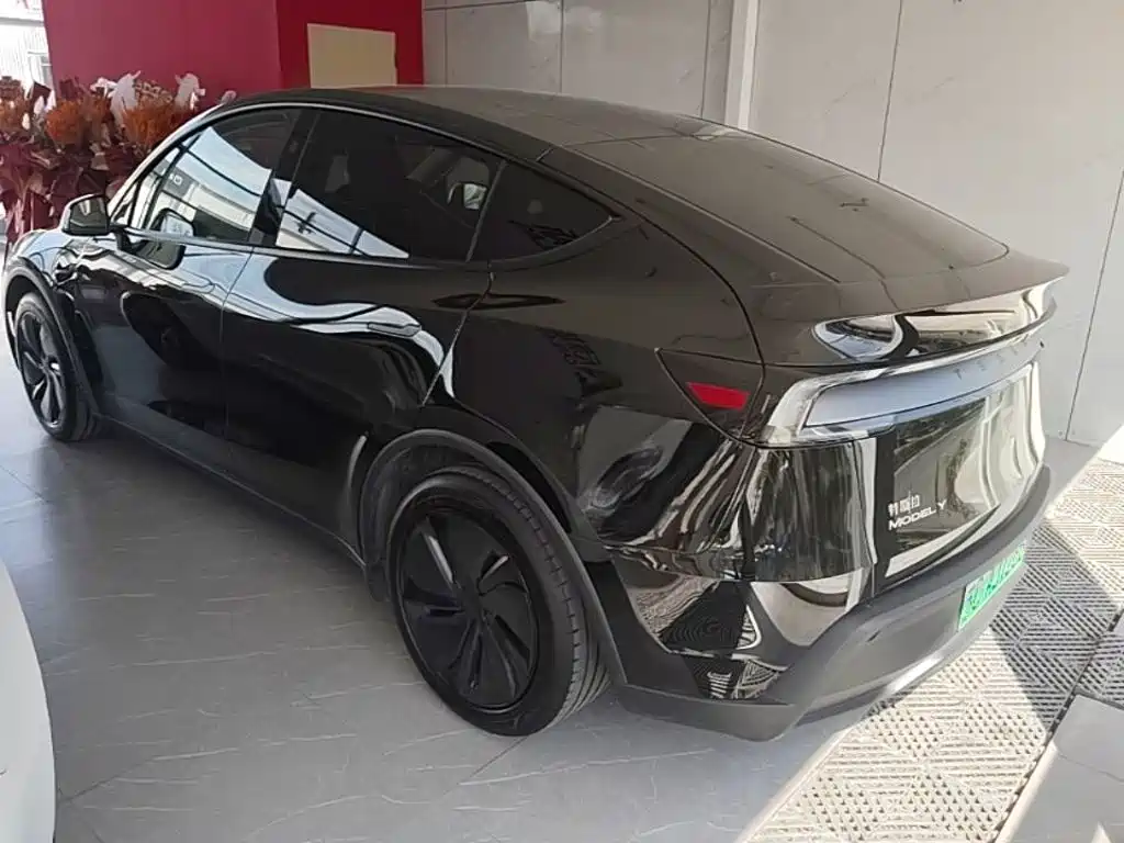 Tesla Model Y — миниатюра 5