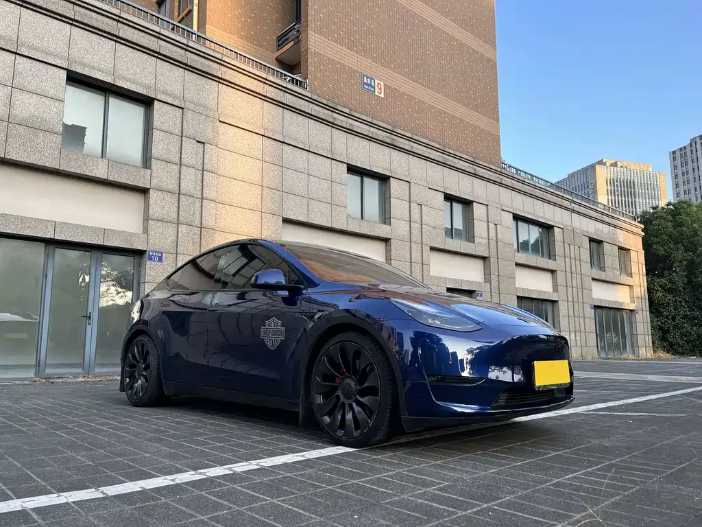 Tesla Model Y — миниатюра 2