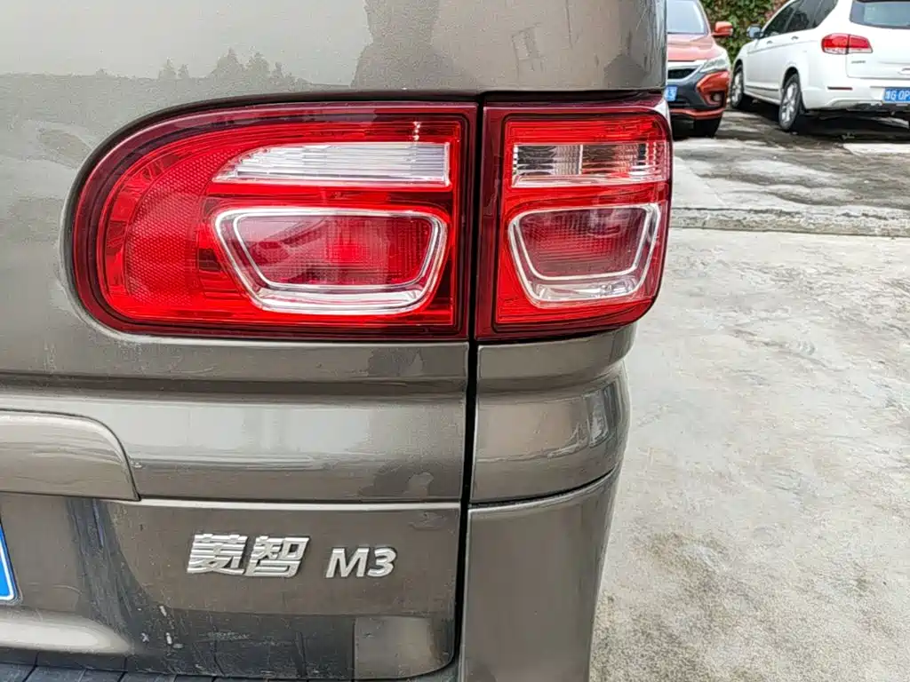 Fengxing Lingzhi — миниатюра 8