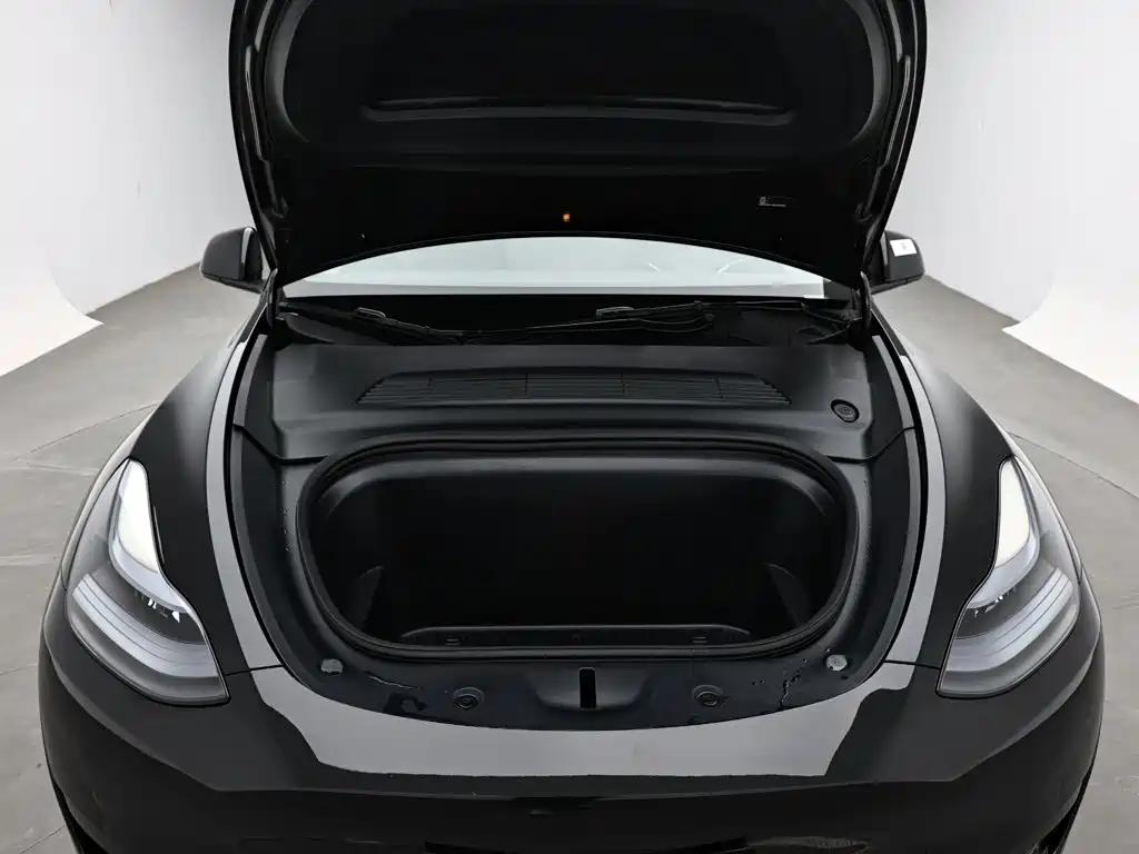 Tesla Model Y — миниатюра 17