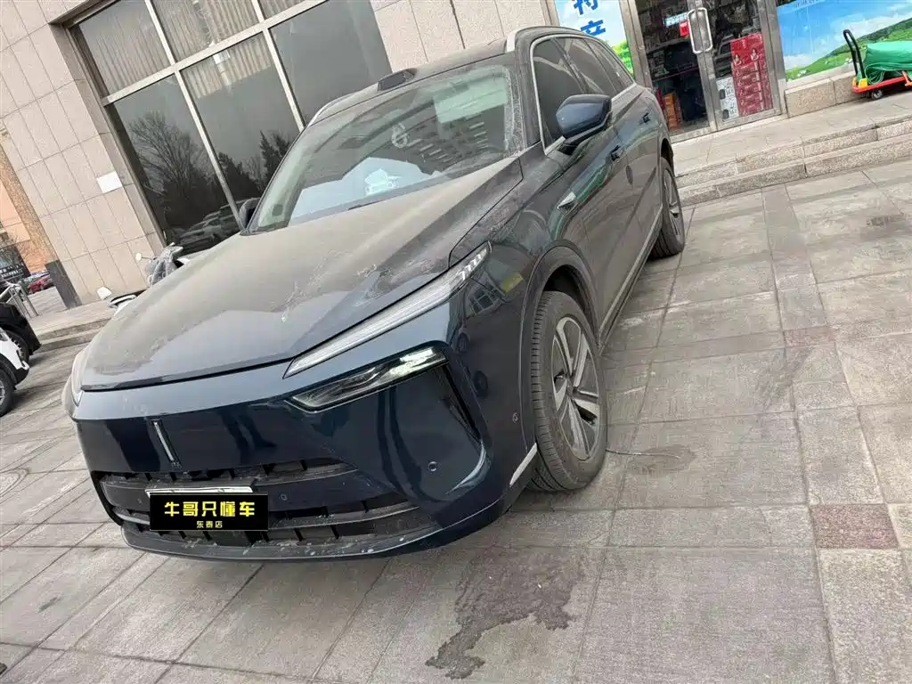 Wey Wey Lanshan 2025