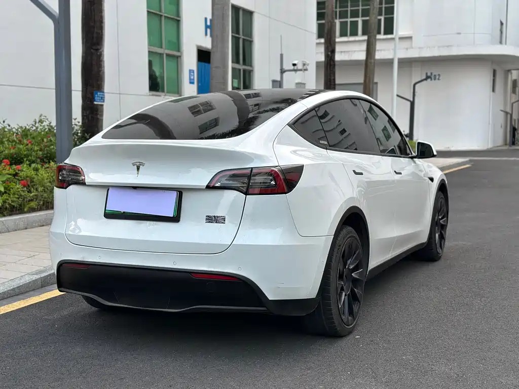 Tesla Model Y — миниатюра 6