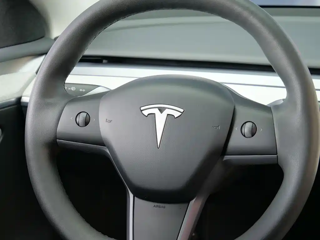 Tesla Model Y — миниатюра 12