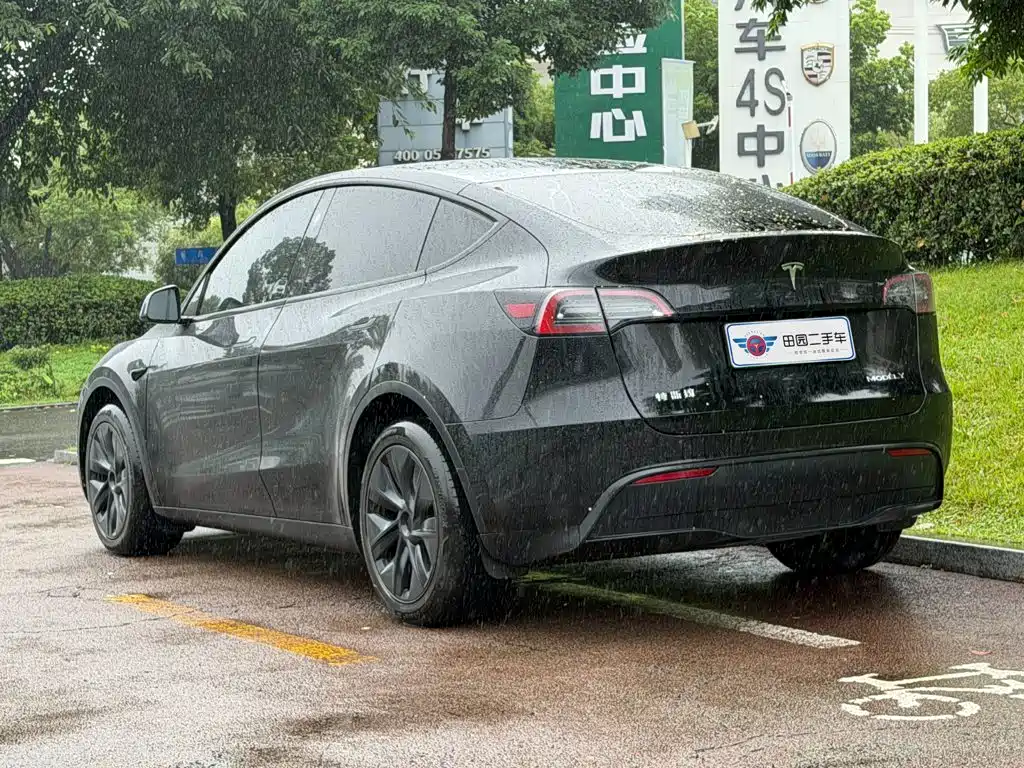 Tesla Model Y — миниатюра 4