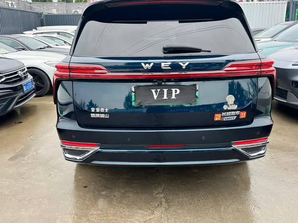 Wey Wey Lanshan — миниатюра 8
