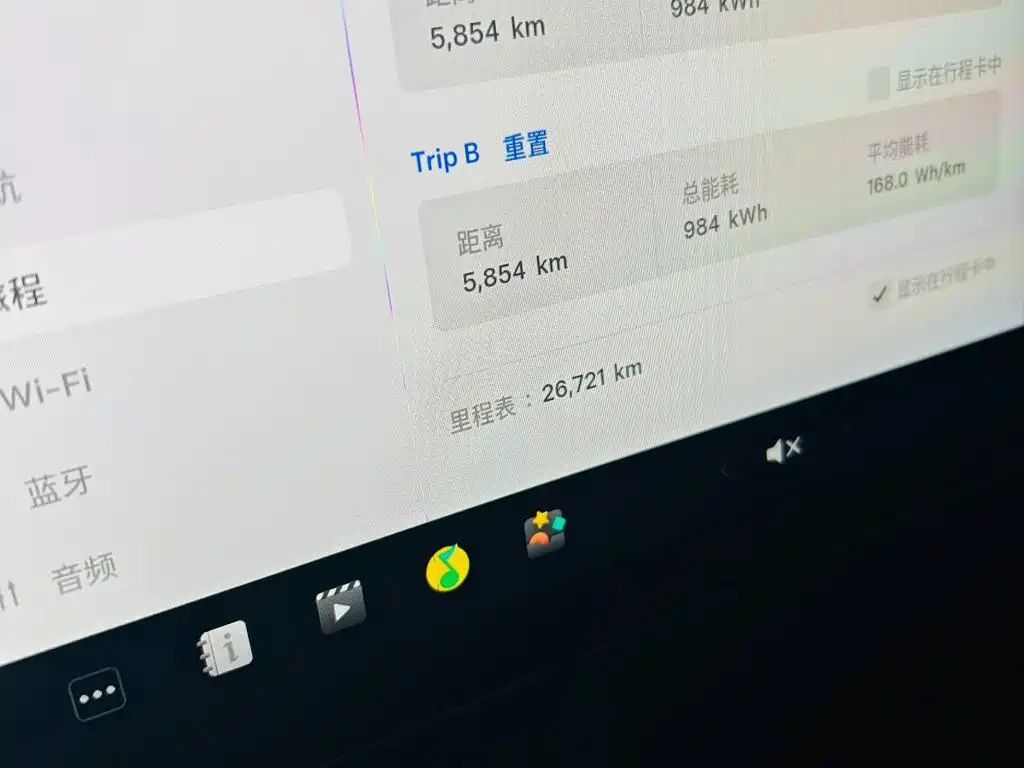 Tesla Model Y — миниатюра 7