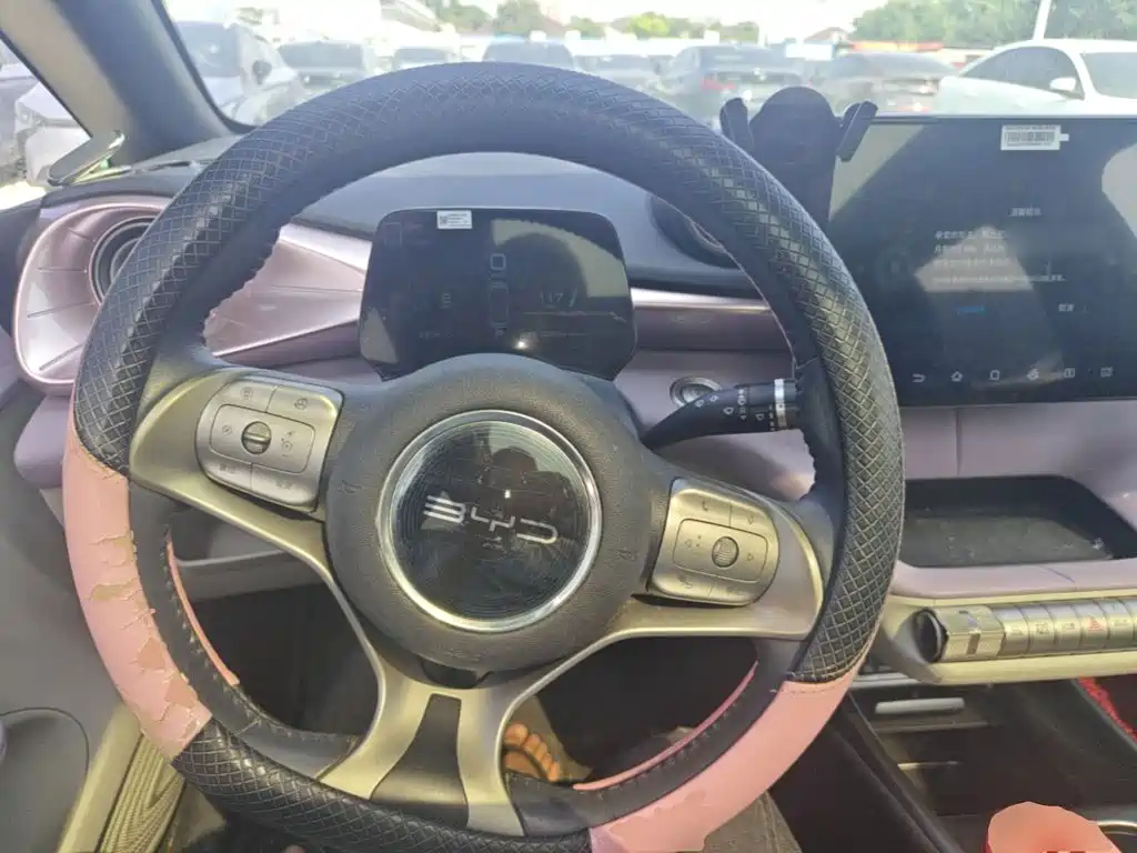 BYD Dolphin — миниатюра 11