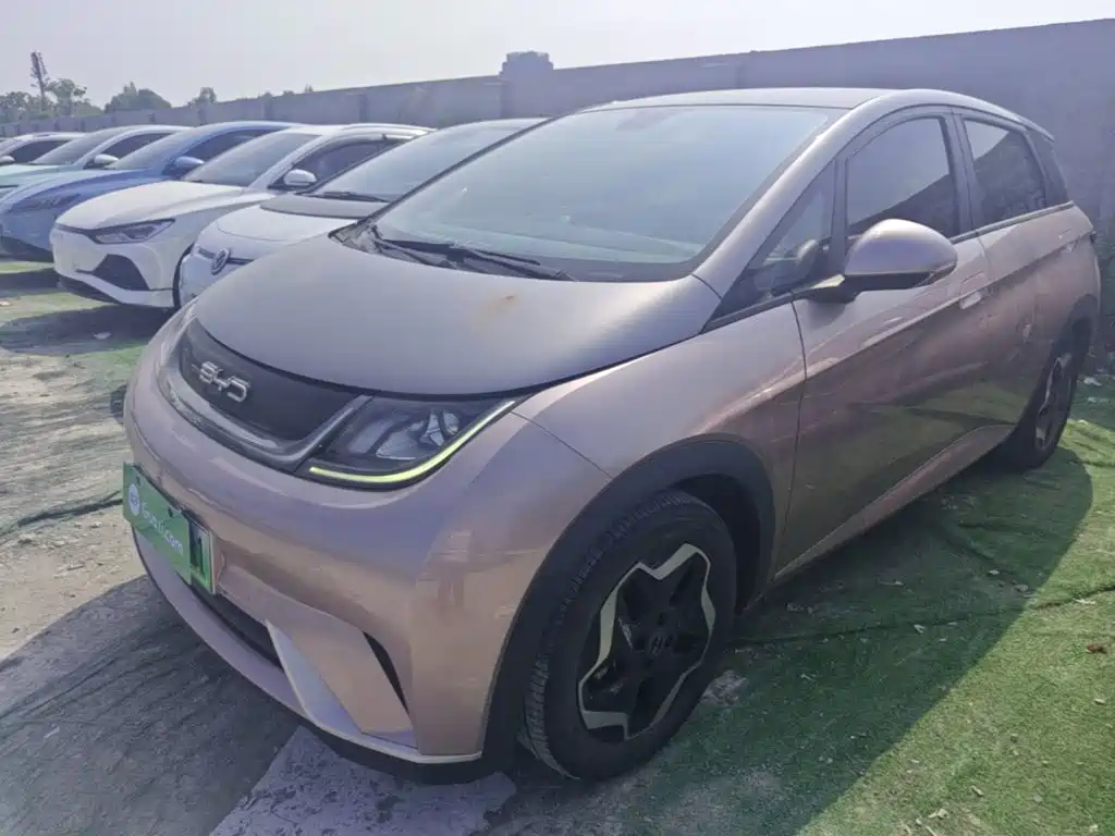 BYD Dolphin — миниатюра 2