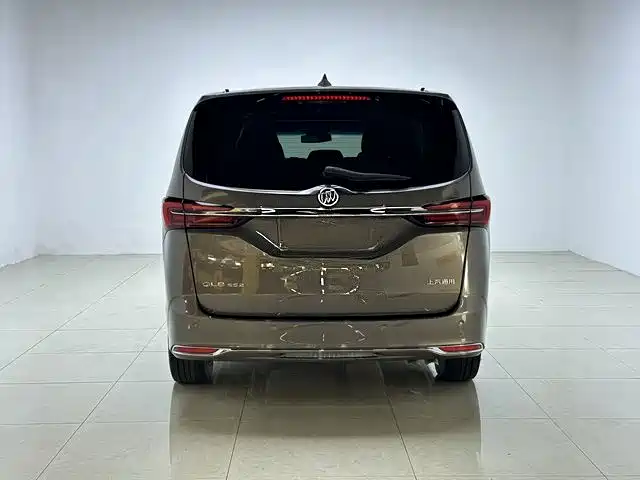 Buick GL8 — миниатюра 6