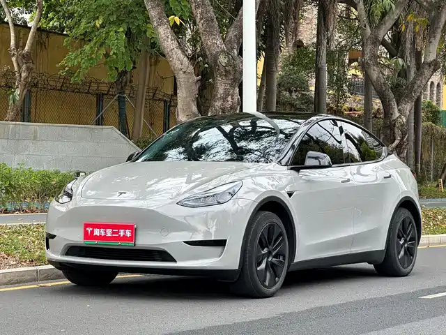 TESLA MODEL Y 2024