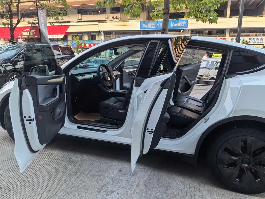 Tesla Model Y — миниатюра 18