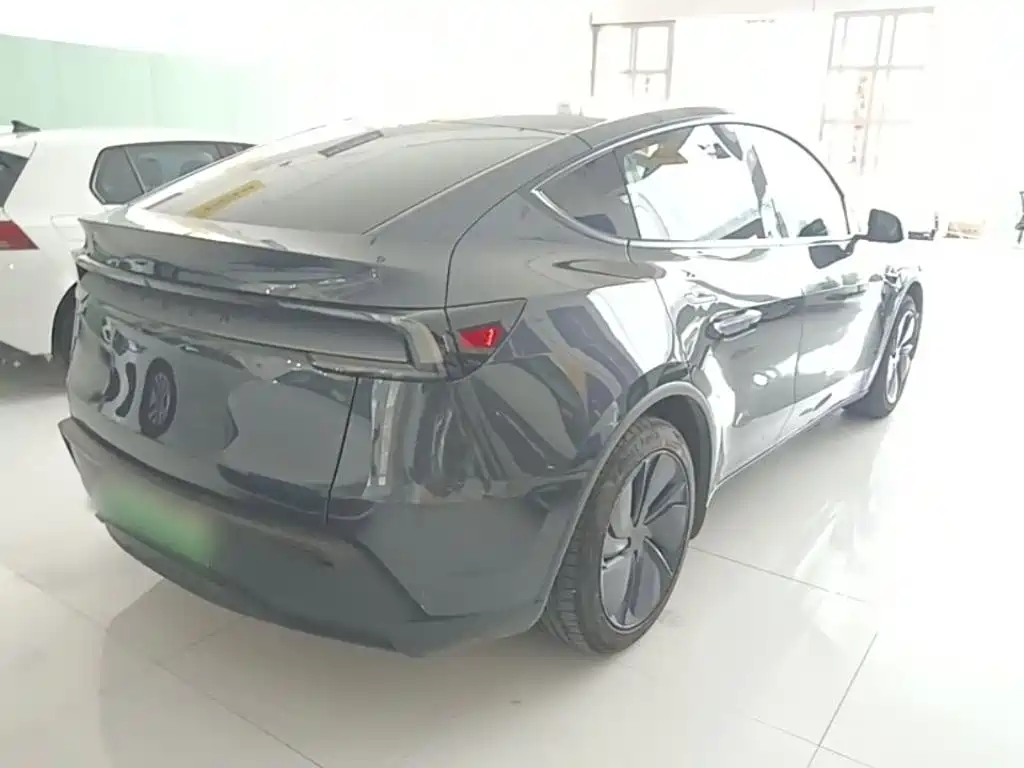 Tesla Model Y — миниатюра 7