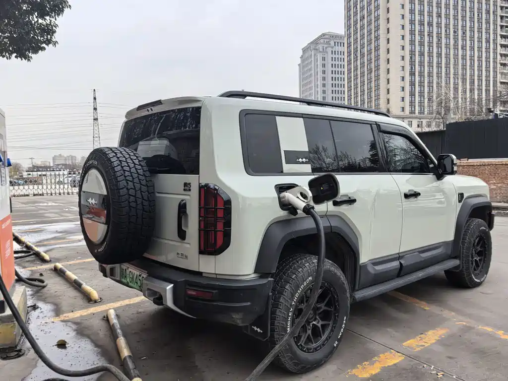 FANG CHENG BAO LEOPARD 5