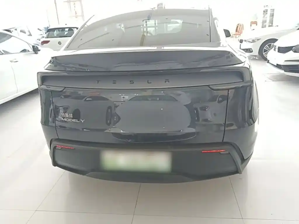 Tesla Model Y — миниатюра 6