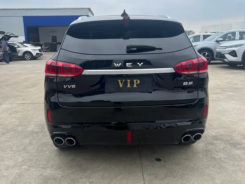 Wey Wey VV6 — миниатюра 16
