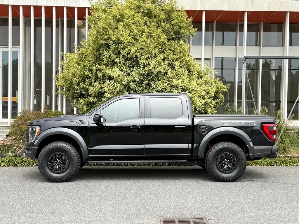 Ford F-150 Raptor — миниатюра 2