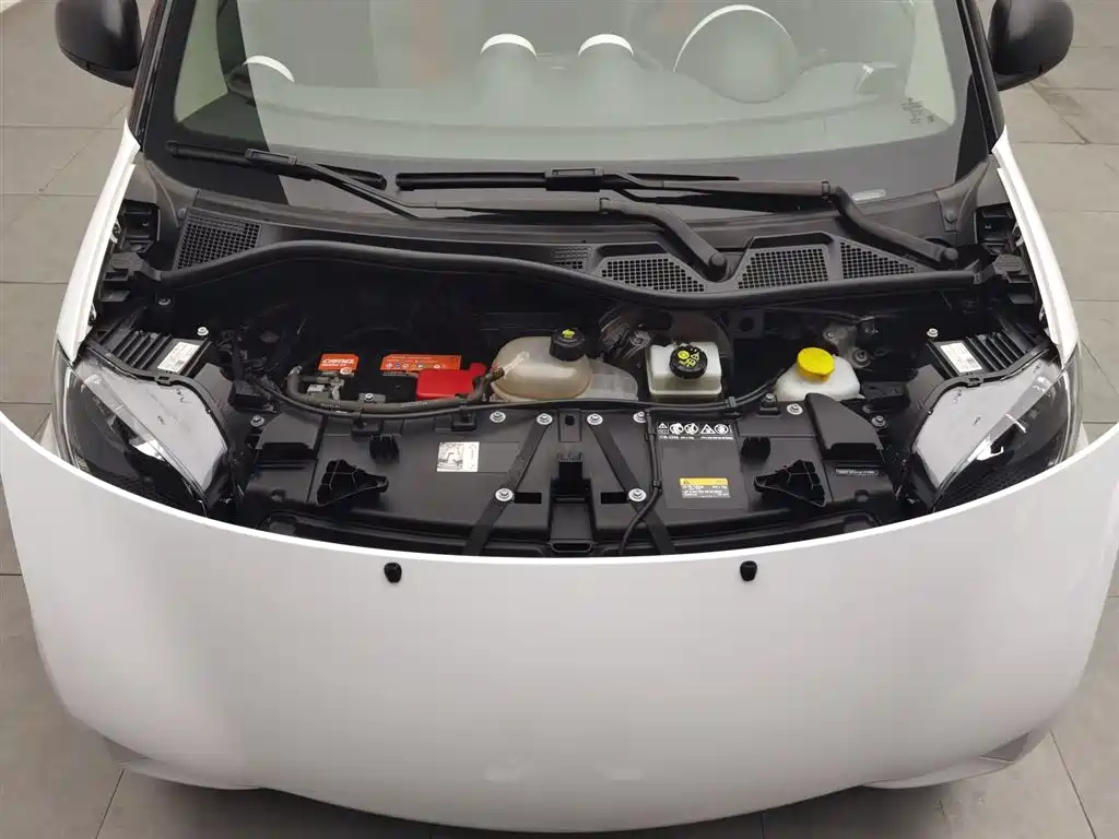 Smart fortwo 2018 1.0L 52 V
