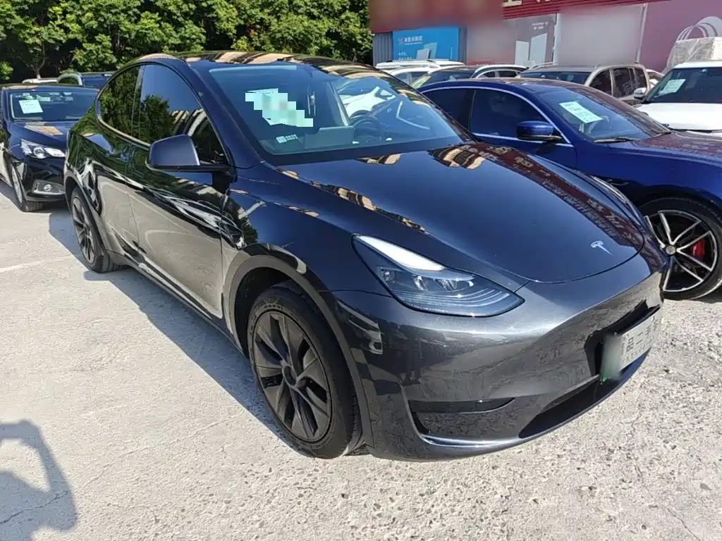 Tesla Model Y — миниатюра 4