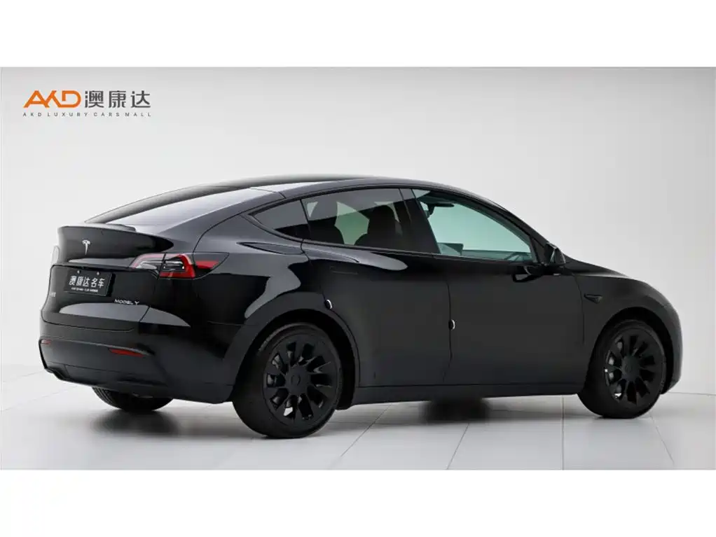 Tesla Model Y — миниатюра 3