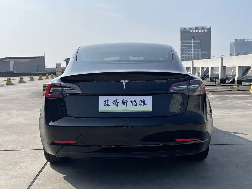 Tesla Model 3 — миниатюра 4