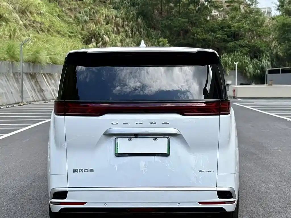 Denza Denza D9 — миниатюра 8