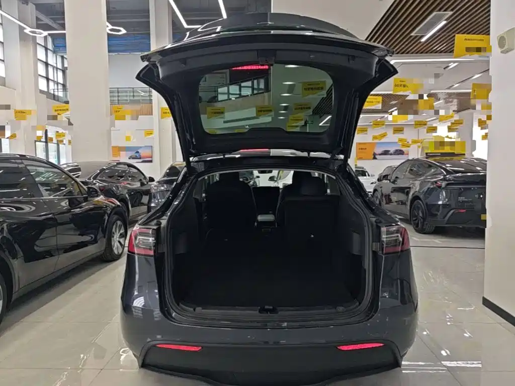 Tesla Model Y — миниатюра 19