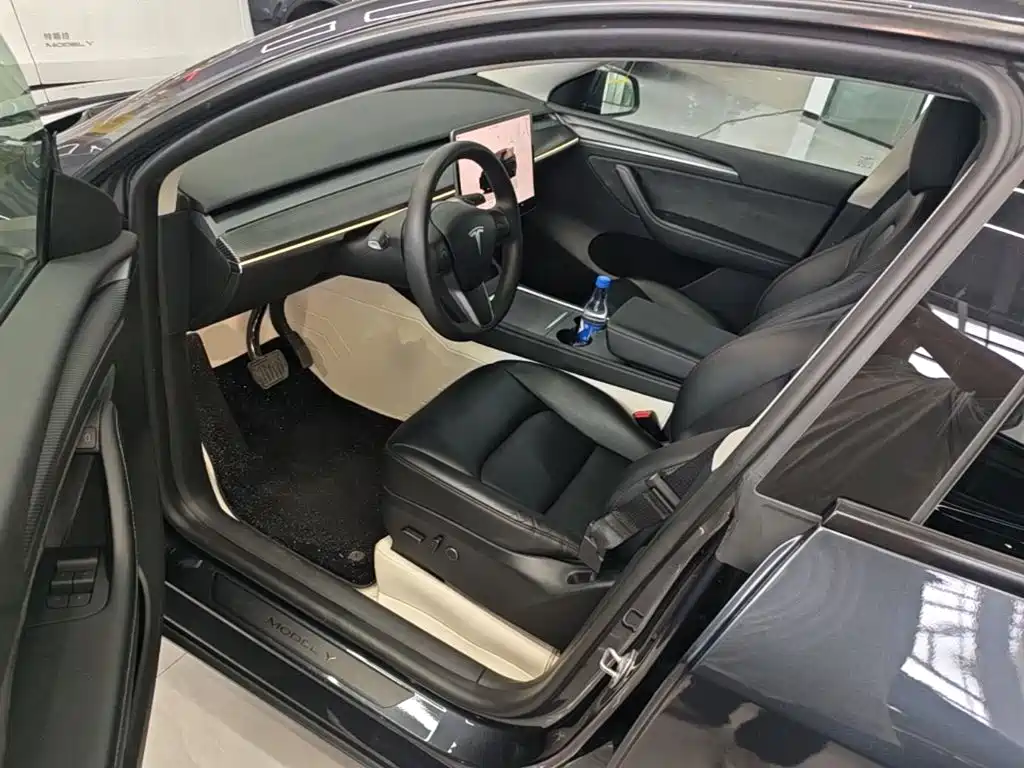 Tesla Model Y — миниатюра 16