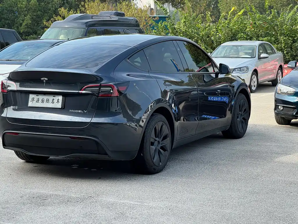 Tesla Model Y — миниатюра 14