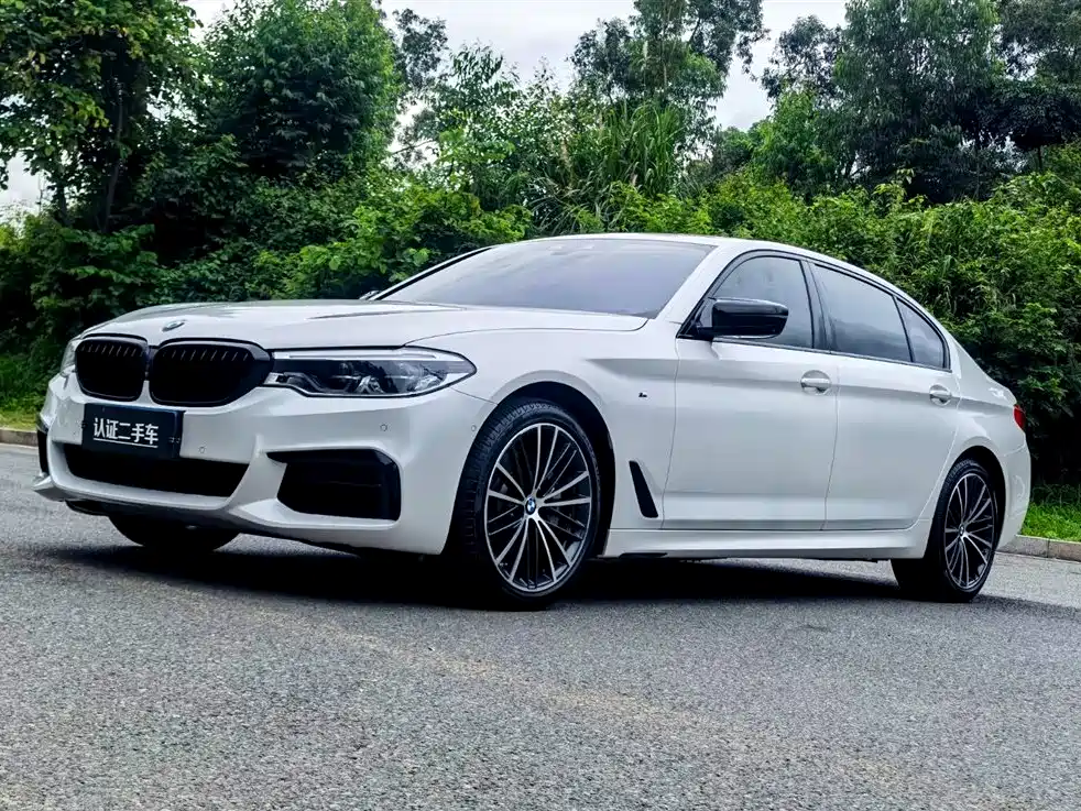 BMW 5 Series 2019