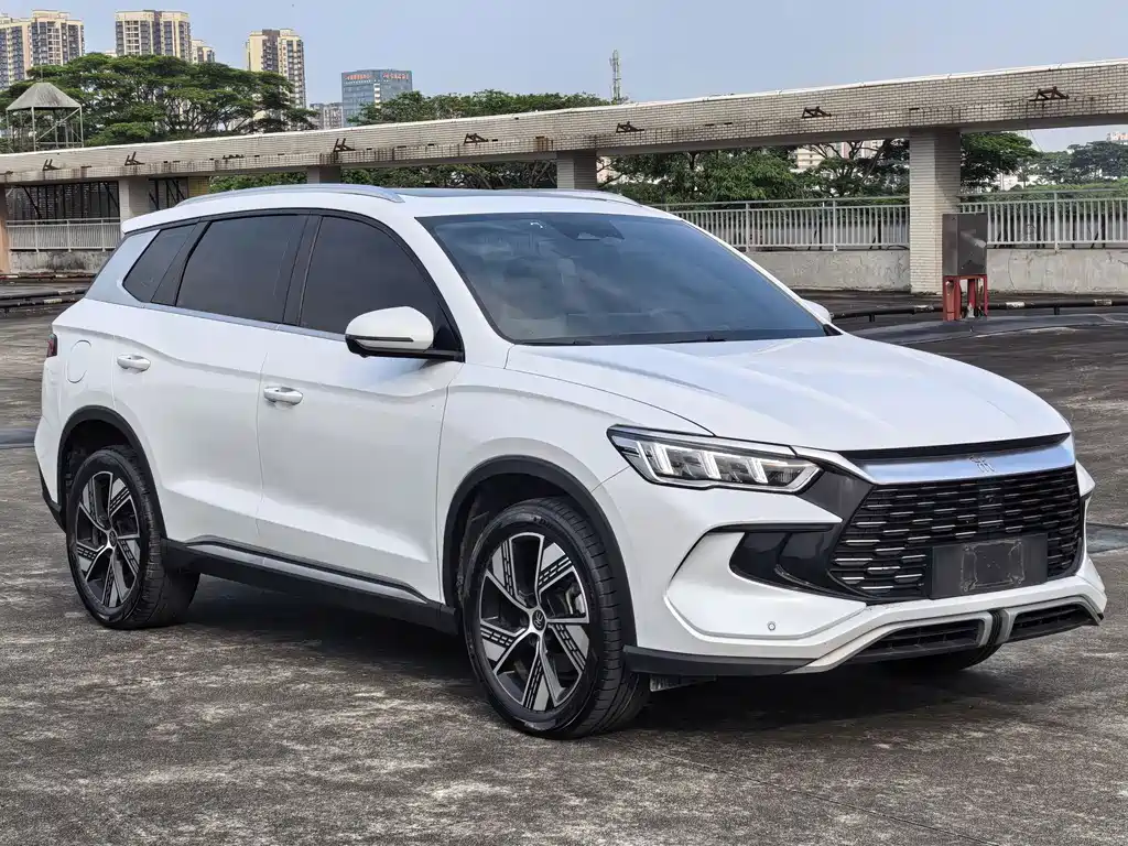 BYD Pro New Energy — миниатюра 2
