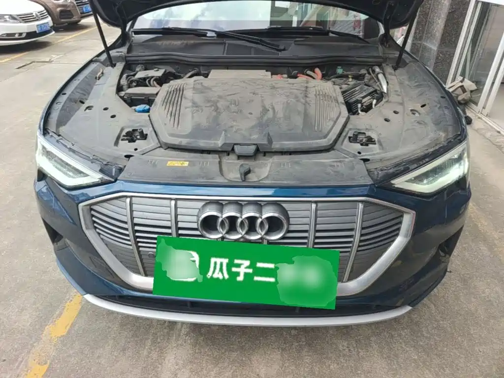 Audi e-tron (Import) — миниатюра 20