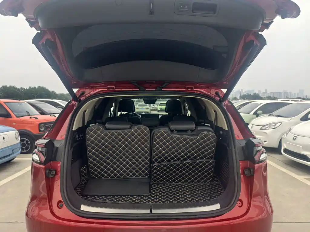 BYD Tang New Energy — миниатюра 13