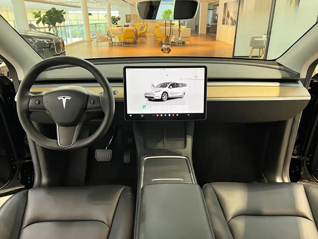 Tesla Model Y — миниатюра 14