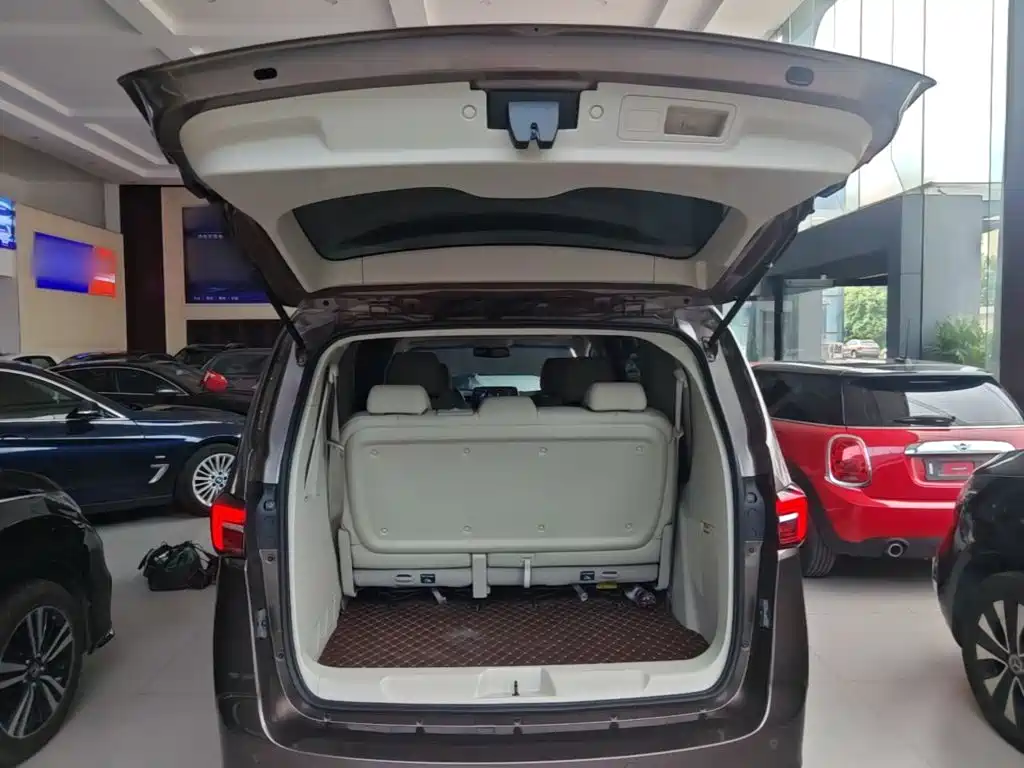 Buick GL8 — миниатюра 19