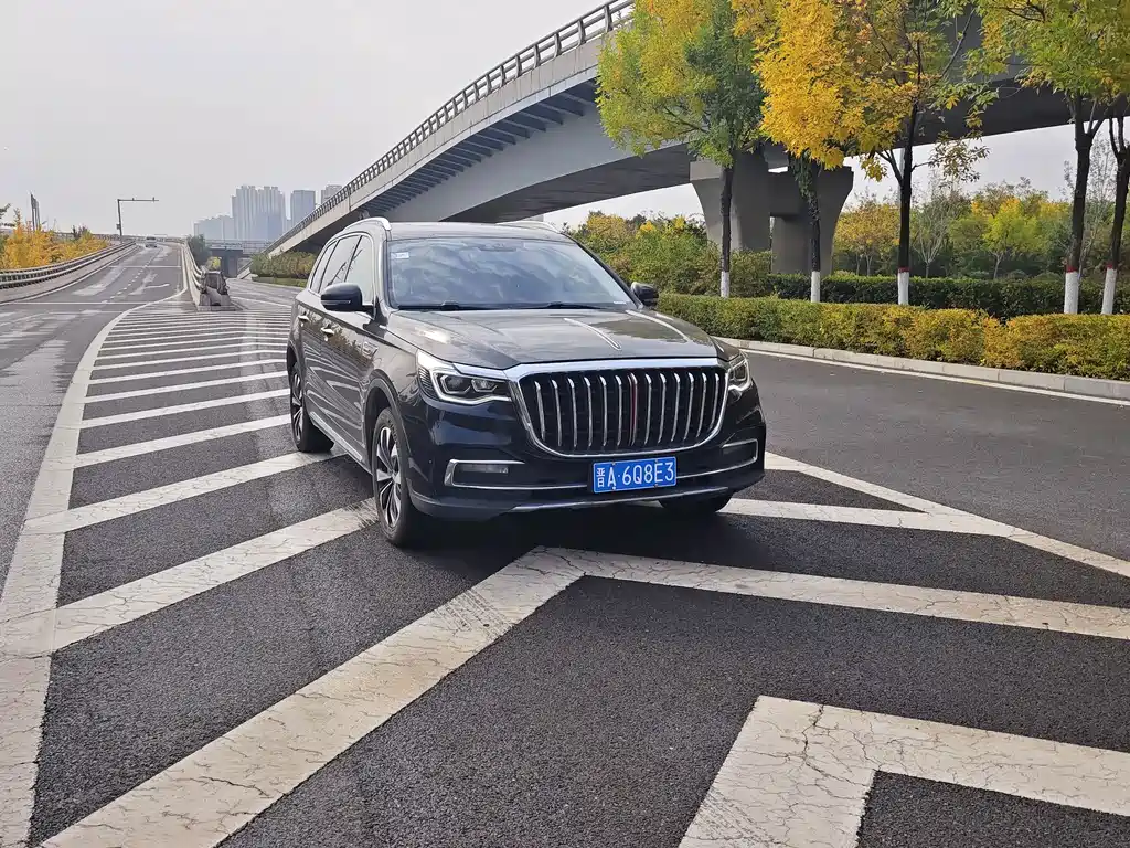 Hongqi Hongqi HS7 — миниатюра 2
