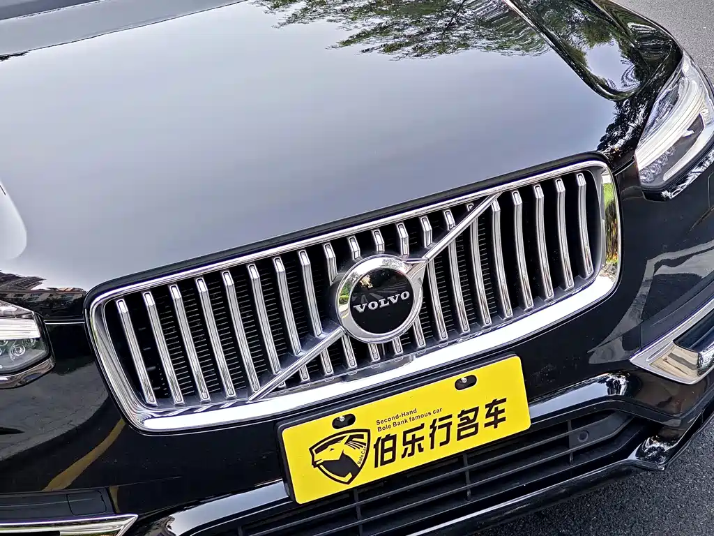 Volvo XC90 — миниатюра 4
