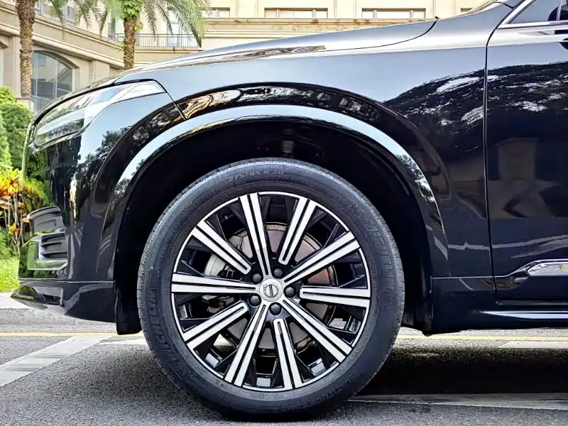 Volvo XC90 — миниатюра 7